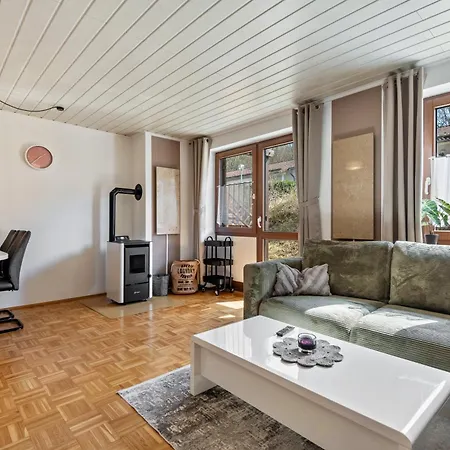 דירה Mit Terrasse - Hunde Erwuenscht Falkenstein (Upper Palatinate)