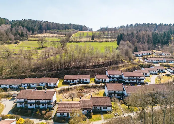 דירה Mit Terrasse - Hunde Erwuenscht Falkenstein (Upper Palatinate)